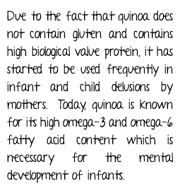 Due to the fact that quinoa does not contain gluten and contains high biological value protein, it has started to be used frequently in infant and child delusions by mothers. Today, quinoa is known for its high omega-3 and omega-6 fatty acid content which is necessary for the mental development of infants.