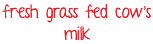 fresh grass fed cow’s milk