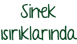 Sinek ısırıklarında